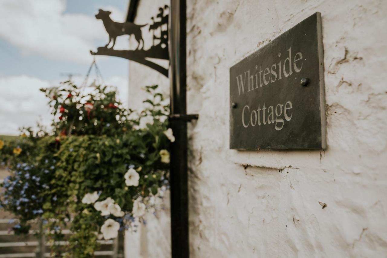 האלטוויסל White Side Cottage מראה חיצוני תמונה